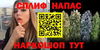 индика Наро-Фоминск