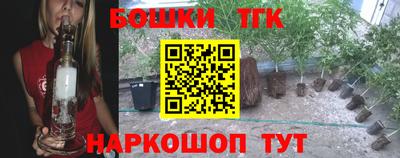 индика Наро-Фоминск